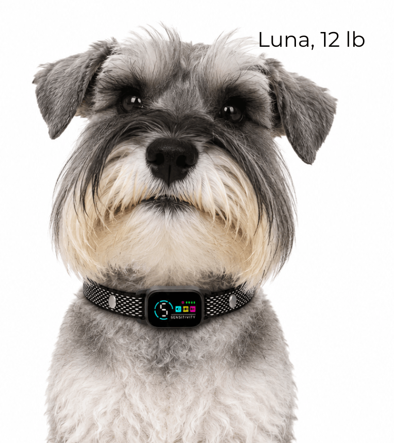 OB10 Pro bark collar for dogs
