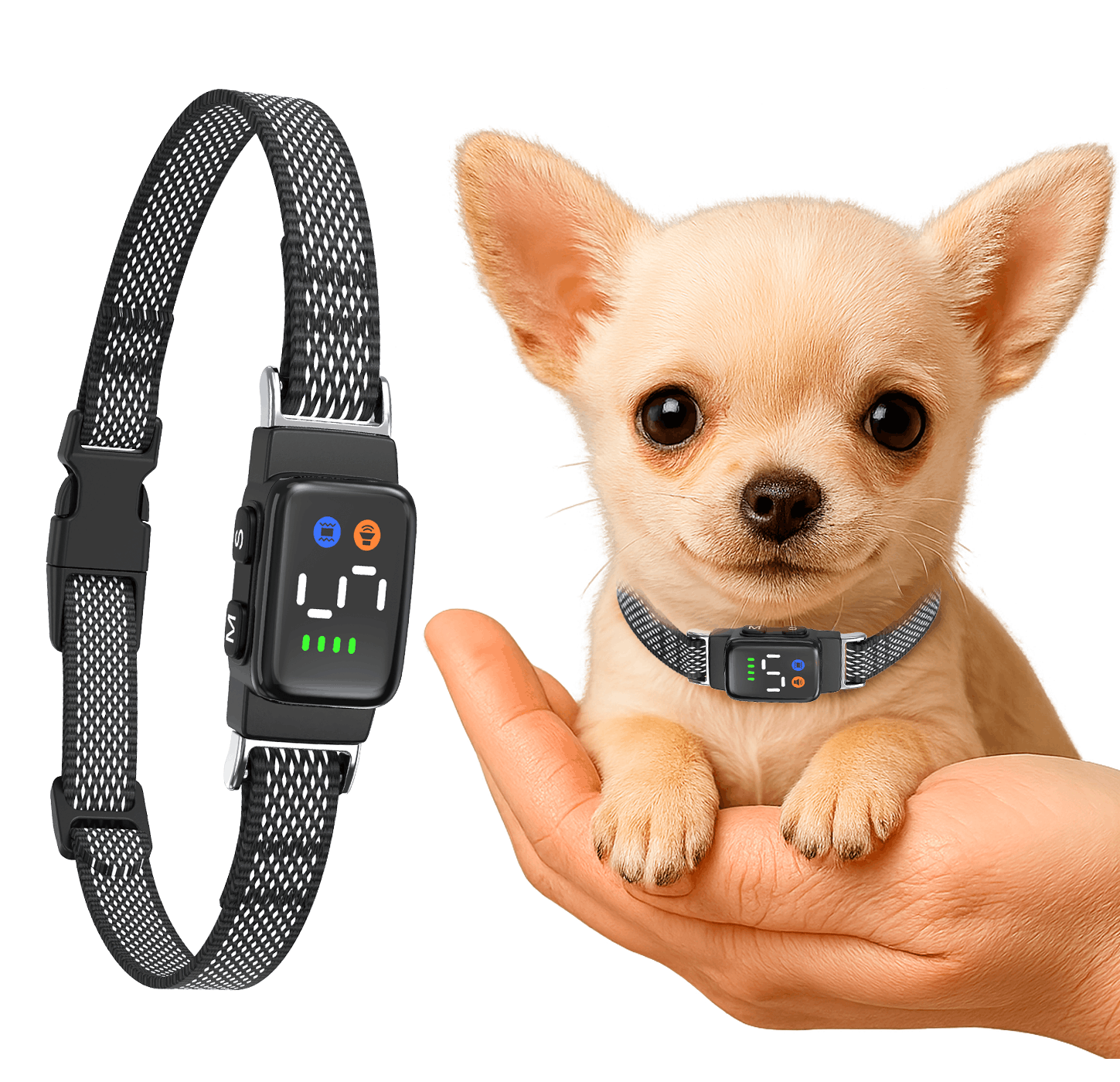 TeaCup Bark Collar