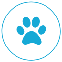 Training support icon